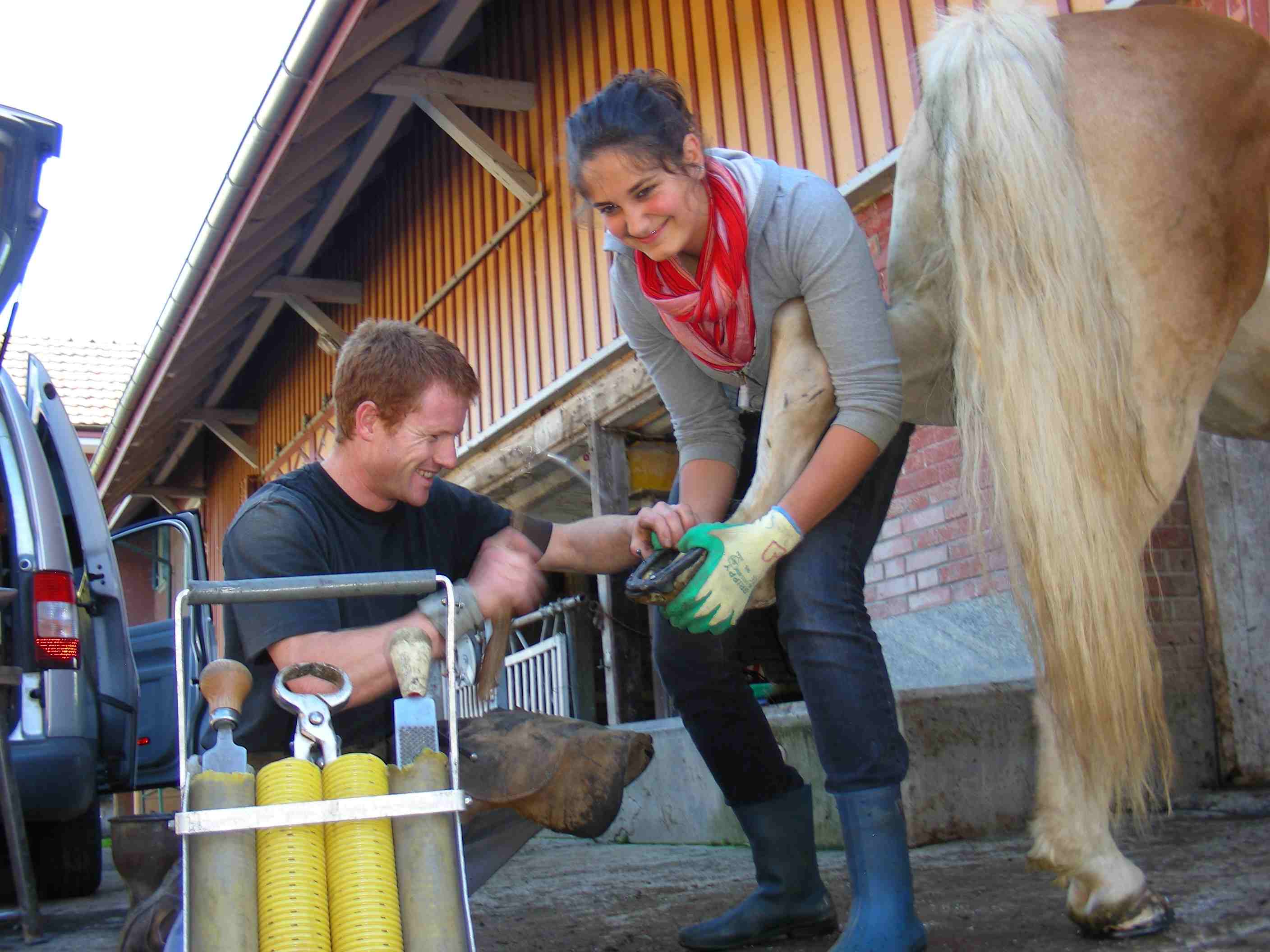 Neue Hufeisen machen das Pferd und den Menschen glücklich.