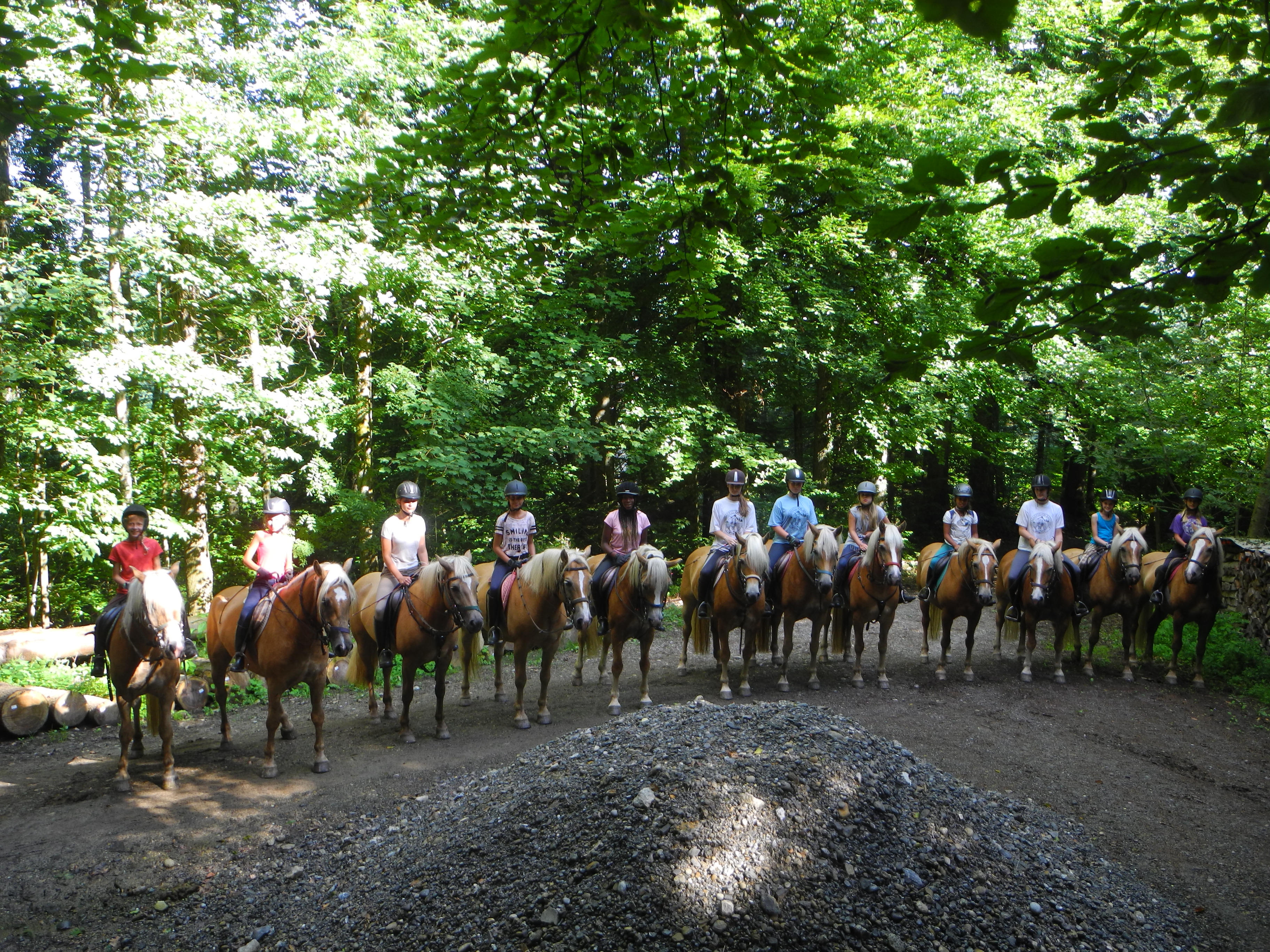 Video Reitferien auf dem Tannacker