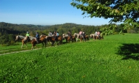  Reitferien Woche 33-2027
