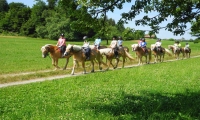  Reitferien Woche 15-2027 