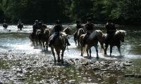 Reitferien Woche 42