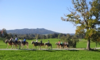  Reitferien Woche 18-2027